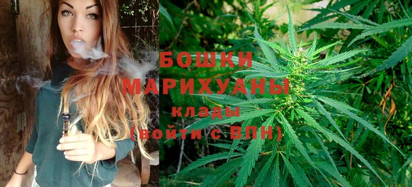 прущая мука Богданович