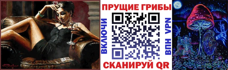 как найти наркотики  Хотьково  Псилоцибиновые грибы Psilocybine cubensis 